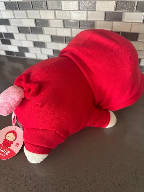 Miniz by Anirollz Kittiroll with Hoodie Plush / Kawaii / Limited Edition 11” NEW - Picture 10 of 16